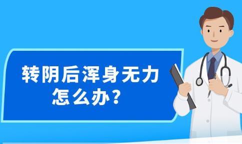 新澳精准资料免费提供网站-用心打造的精品版