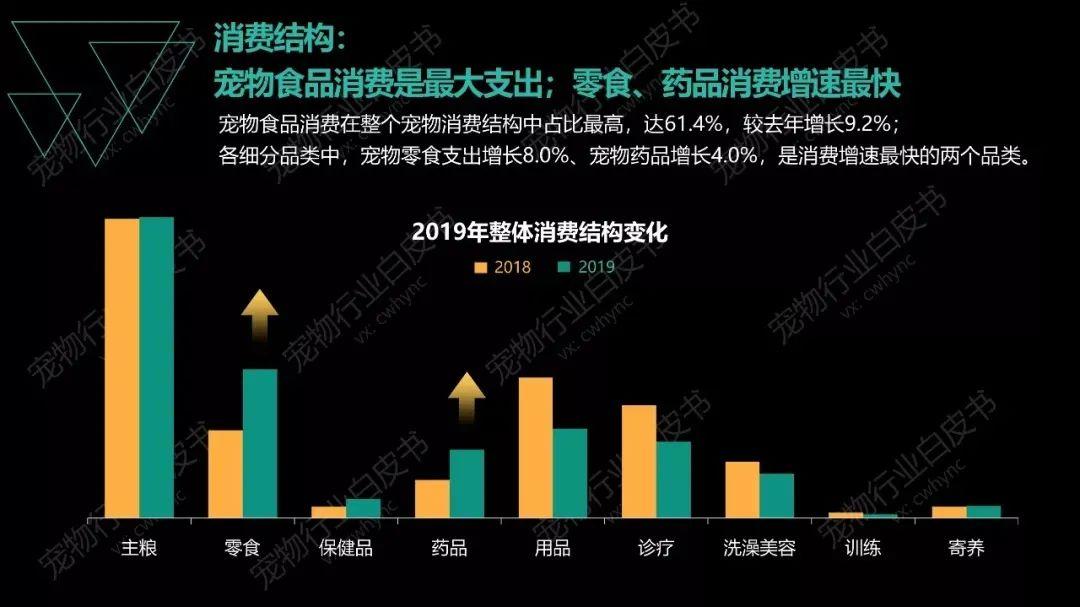 2024天天彩正版资料大全|精选资料解释大全