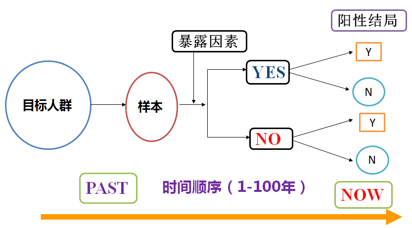 澳门天天开彩大全免费|精选资料解释大全