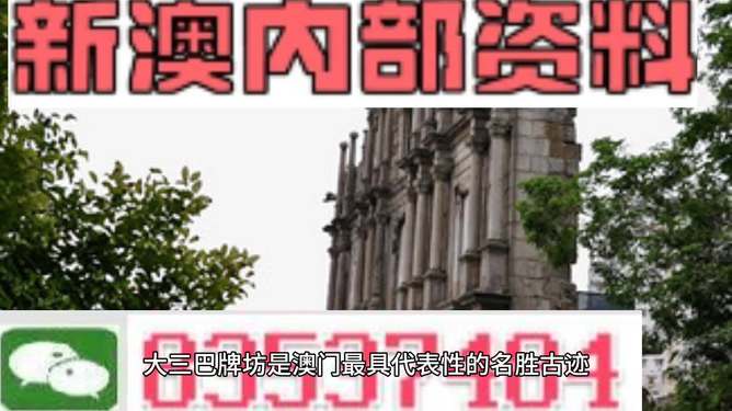 澳门最精准正最精准龙门|精选资料解释大全