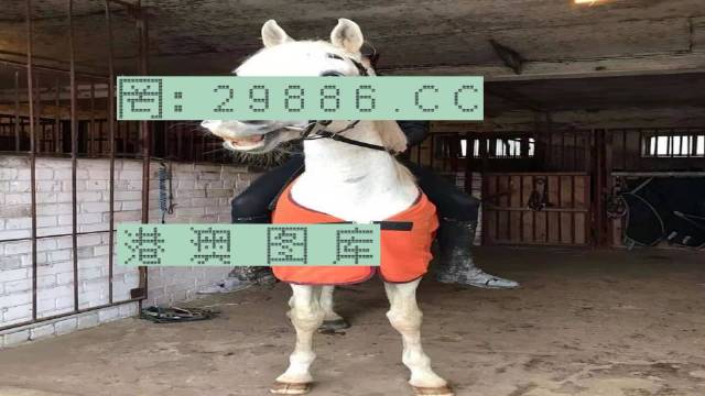 7777788888新版跑狗 管家婆|精选资料解释大全