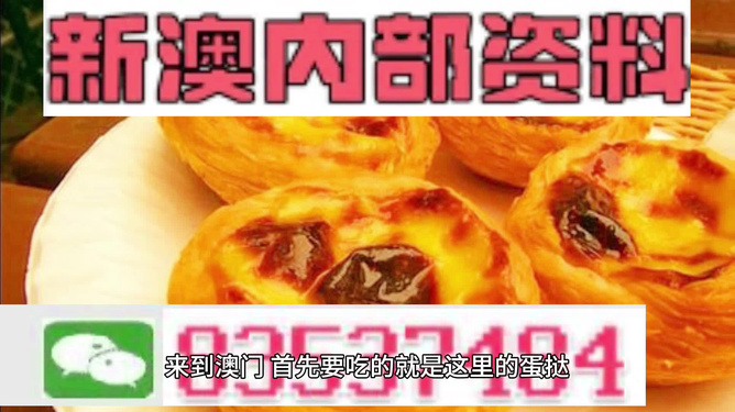 2024年澳门精准免费大全|精选资料解释大全