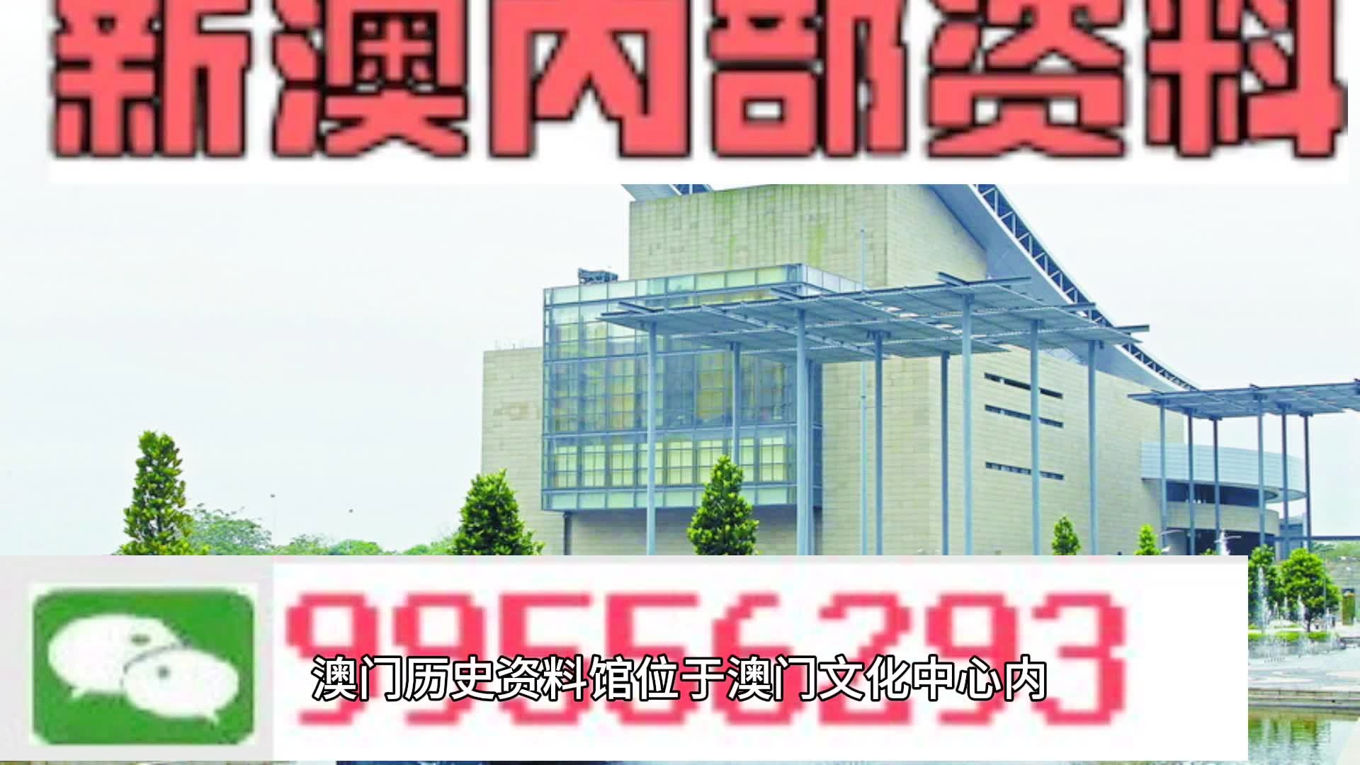 新澳2024今晚王中王免费资料|精选资料解释大全