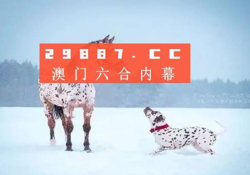 澳门一肖一码准选一码2023年|精选资料解释大全