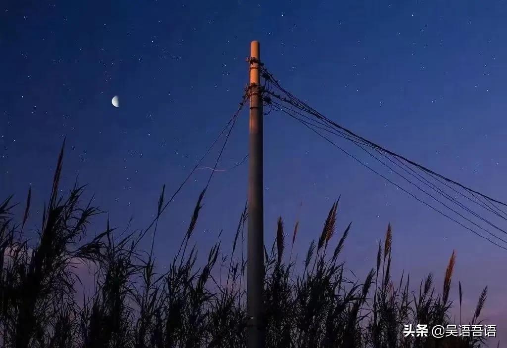 最准一肖100%最准的资料|精选资料解释大全