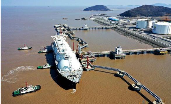 2024新奥资料免费精准资料|精选资料解释大全