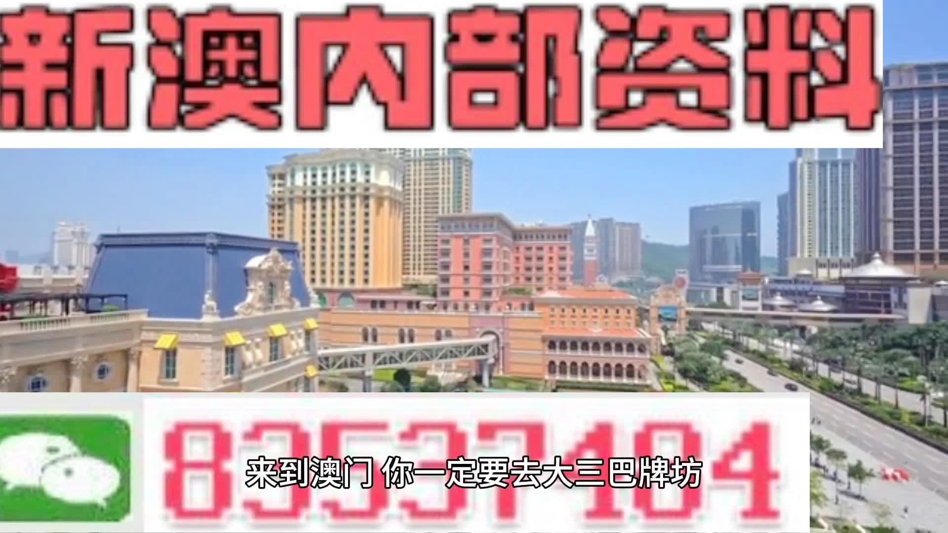2024新奥门免费资料|精选资料解释大全