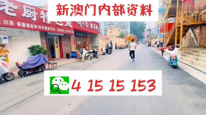 2024澳门天天开好彩精准24码|精选资料解释大全